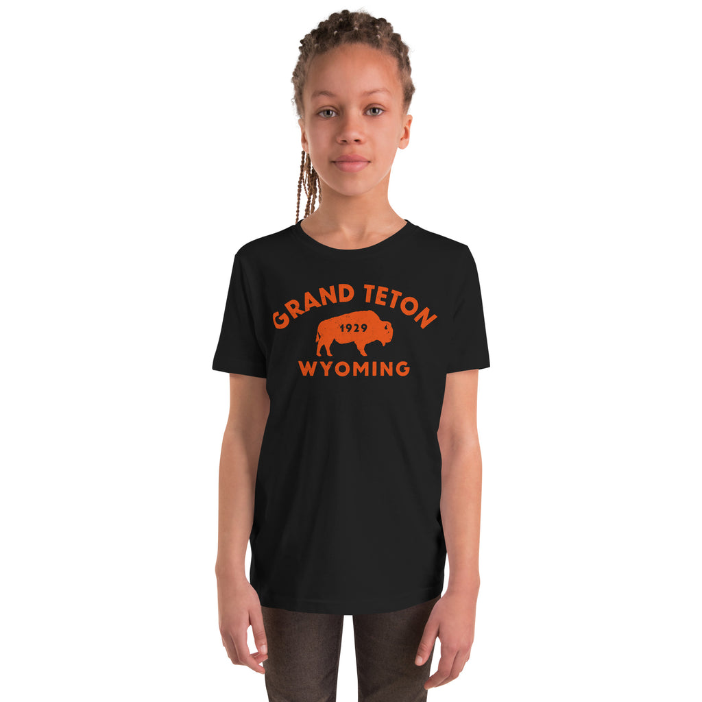 Bison in front of Grand Teton rock formations, vintage national park poster styling, printed on a SodaPop Cool kids t-shirt.