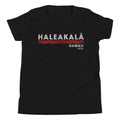 Haleakala Hawaii Park 1976 vintage graphic, printed on a SodaPop Cool kids t-shirt.