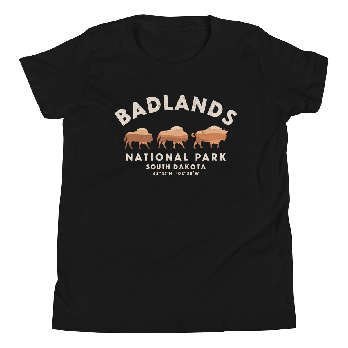 Badlands National Park South Dakota Bison vintage graphic, printed on a SodaPop Cool kids t-shirt.