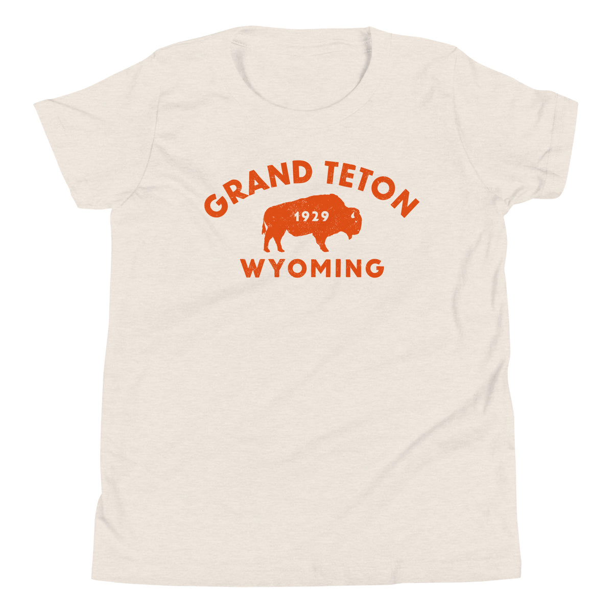 Bison in front of Grand Teton rock formations, vintage national park poster styling, printed on a SodaPop Cool kids t-shirt.