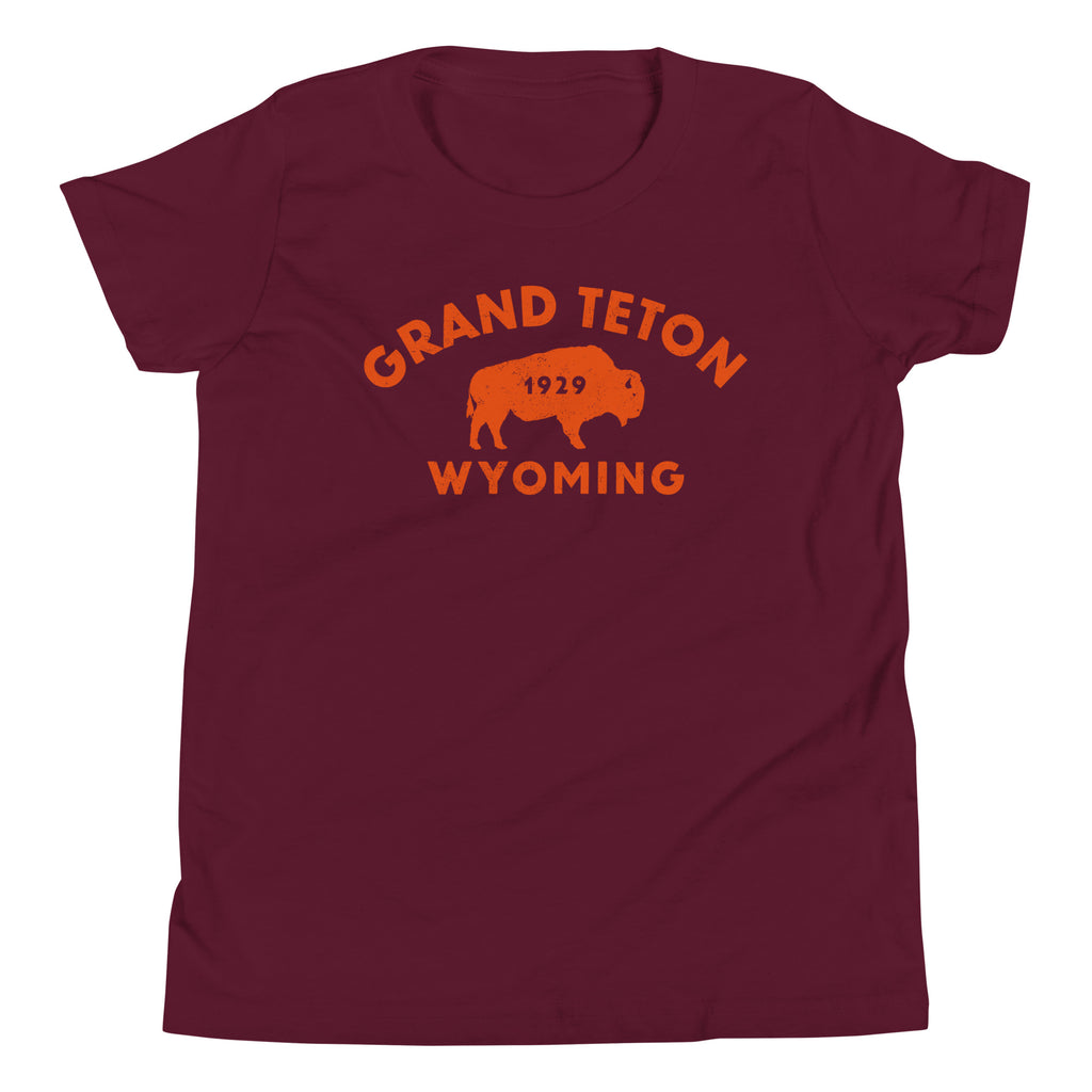 Bison in front of Grand Teton rock formations, vintage national park poster styling, printed on a SodaPop Cool kids t-shirt.