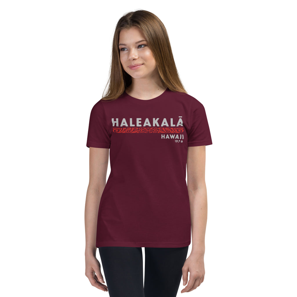 Haleakala Hawaii Park 1976 vintage graphic, printed on a SodaPop Cool kids t-shirt.