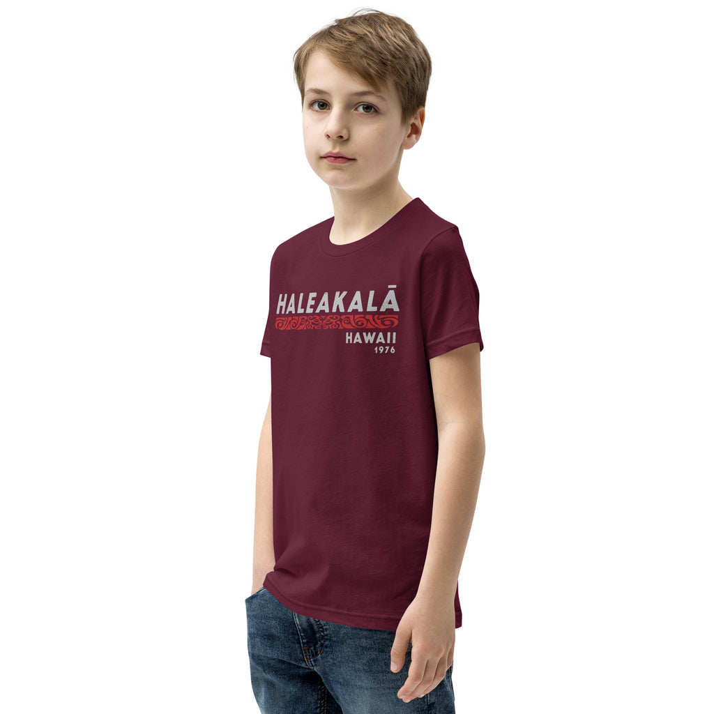 Haleakala Hawaii Park 1976 vintage graphic, printed on a SodaPop Cool kids t-shirt.