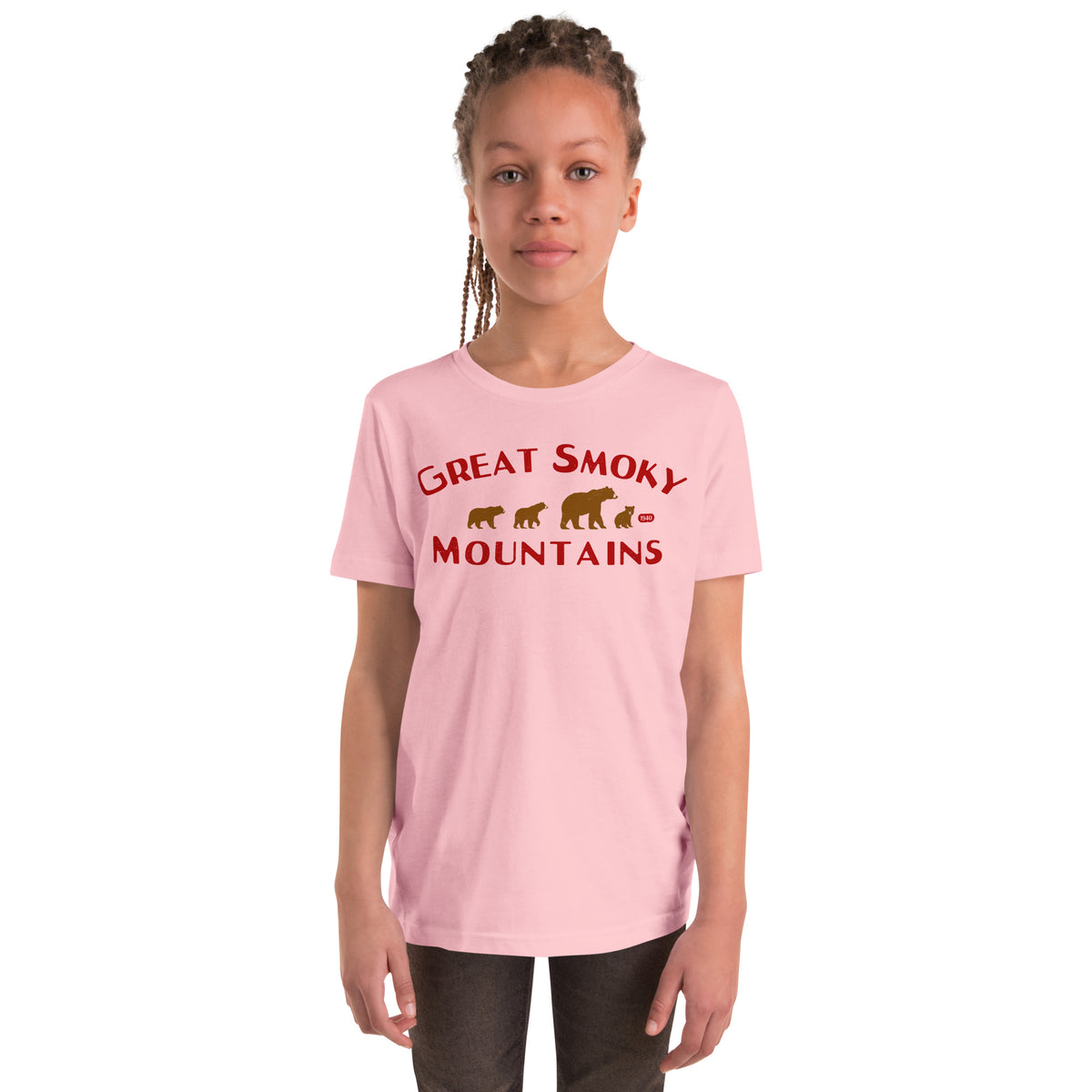 Great Smoky Mountains Park Bears vintage graphic, printed on a SodaPop Cool kids t-shirt.