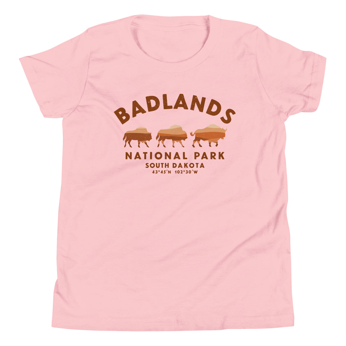 Badlands National Park South Dakota Bison vintage graphic, printed on a SodaPop Cool kids t-shirt.