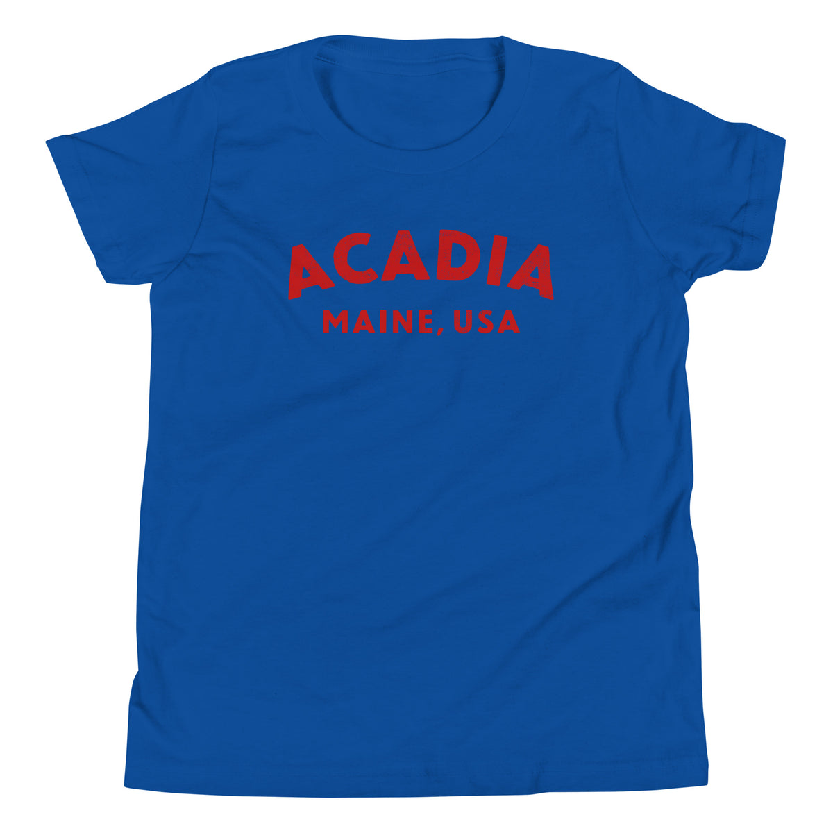 Acadia Maine Park vintage graphic, printed on a SodaPop Cool kids t-shirt.