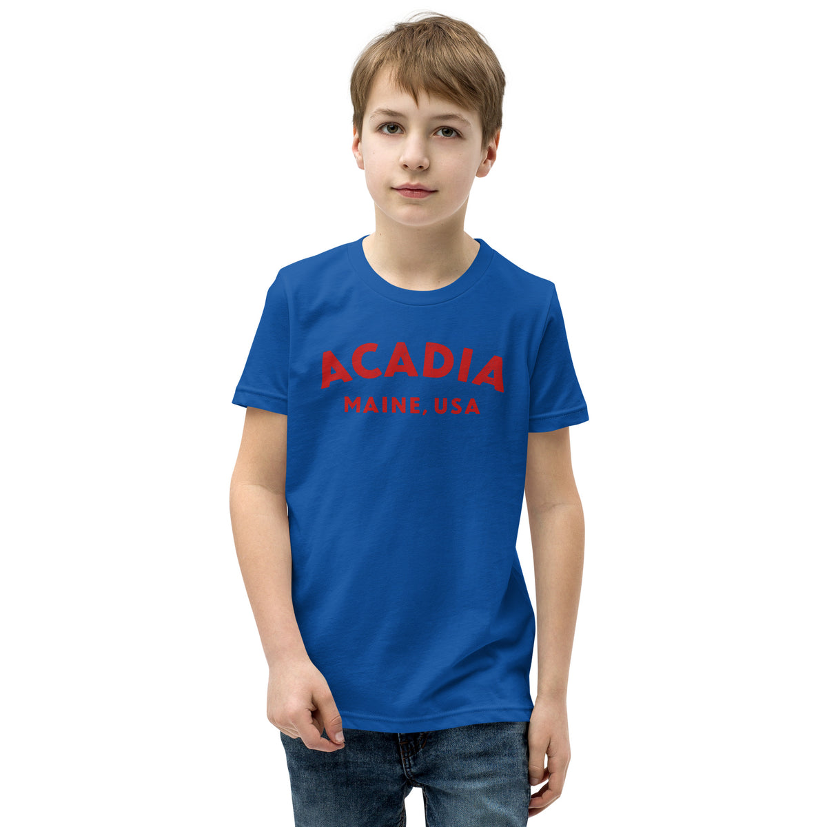Acadia Maine Park vintage graphic, printed on a SodaPop Cool kids t-shirt.